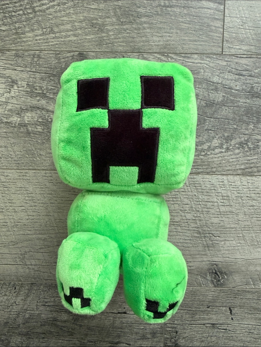 Minecraft Creeper Plush Coin Bank